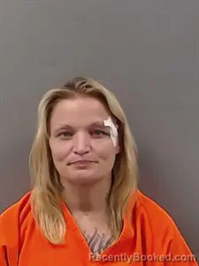 Mugshot of Tara CEREESE ZUNIGA booked in Marion County, Arkansas on July 13, 2026