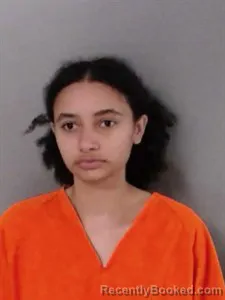 Mugshot of Sierra Ashley Burrow booked in Marion County, Arkansas on August 8, 2026