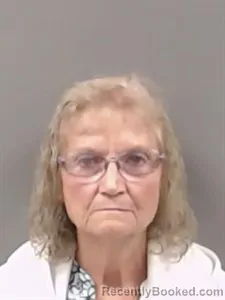 Mugshot of Susan Margaret Mead booked in Marion County, Arkansas on August 26, 2026
