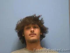 Mugshot of DOMANIK ALLEN SAMMONS