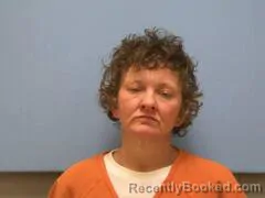 Mugshot of HEATHER DENISE HITCHCOCK