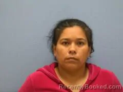 Mugshot of MARIA ISABELL CASTRO