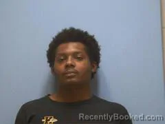Mugshot of SHAAFA SHAKUR YOUNG