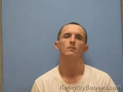 Mugshot of DEVIN LEE WELLS