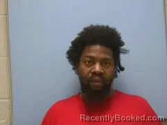 Mugshot of STACEY LEE HUDSON