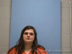 Mugshot of LINDSEY FAYE SOUTH