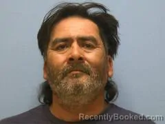 Mugshot of ELIAS LEIJA