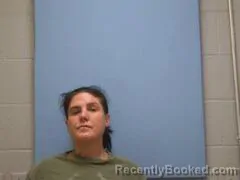 Mugshot of BROOKE ASHLEY REGGINS booked in Mississippi County, Arkansas on April 16, 2026