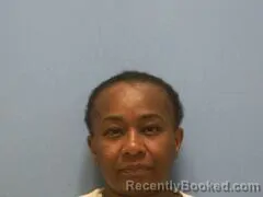 Mugshot of LIZA NIKCOLE LOGAN booked in Mississippi County, Arkansas on April 17, 2026