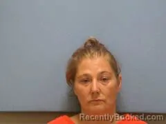 Mugshot of AMBER N FREEMAN booked in Mississippi County, Arkansas on June 6, 2026