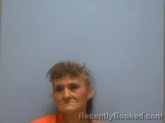 Mugshot of TINA CAROL BREWER booked in Mississippi County, Arkansas on June 16, 2026