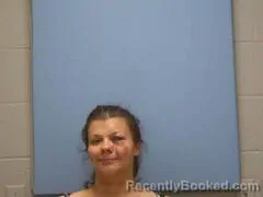 Mugshot of ANISA MARIE JUAREZ booked in Mississippi County, Arkansas on June 27, 2026