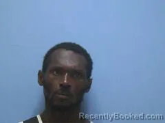 Mugshot of Shannon K Lyons booked in Mississippi County, Arkansas on September 28, 2026