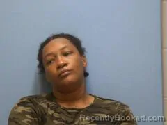 Mugshot of Jessica Deanna Young booked in Mississippi County, Arkansas on October 5, 2026