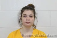 Booking photo from Nevada County, Arkansas