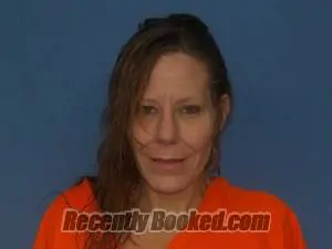 Booking photo from Newton County, Arkansas