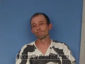 Booking photo from Newton County, Arkansas