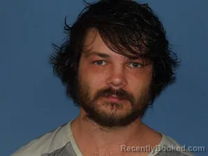 Booking photo from Newton County, Arkansas