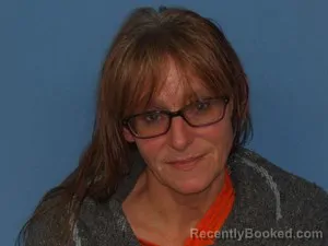 Mugshot of Brandi Taylor Hudziak