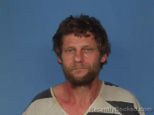 Mugshot of Darvin Wayne Mcelhaney