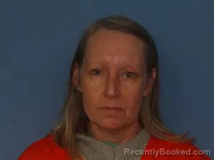 Mugshot of Christine Morrison Vinson booked in Newton County, Arkansas on April 4, 2026