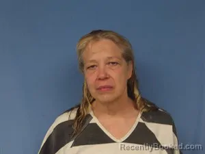 Mugshot of Leah Michelle Lake booked in Newton County, Arkansas on April 19, 2026