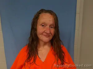 Mugshot of Cortney Michelle Covey booked in Newton County, Arkansas on April 20, 2026