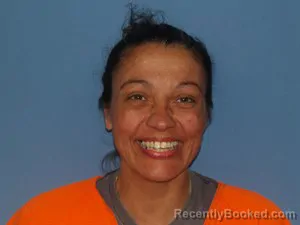 Mugshot of Heather Nicole Carter booked in Newton County, Arkansas on May 12, 2026