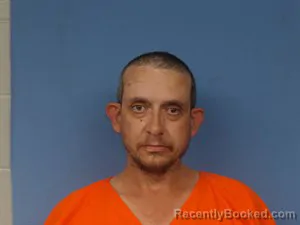 Mugshot of Dale Warren Myers booked in Newton County, Arkansas on May 12, 2026