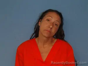 Mugshot of Brooke Necole Walker booked in Newton County, Arkansas on May 13, 2026