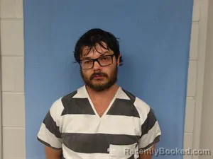 Mugshot of Shawn Allen Willcutt booked in Newton County, Arkansas on May 25, 2026