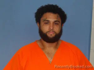 Mugshot of Elijah Hampton booked in Newton County, Arkansas on June 22, 2026