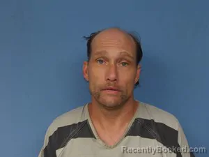 Mugshot of Ronnie Gene Long booked in Newton County, Arkansas on June 29, 2026