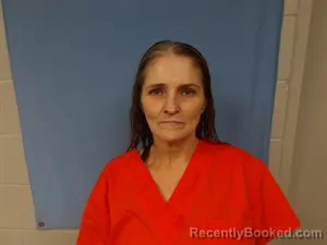 Mugshot of Tracy Jane Milen-Jones booked in Newton County, Arkansas on July 1, 2026