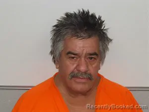 Mugshot of Ephrain Manuel Berlanga-Calvillo booked in Newton County, Arkansas on July 8, 2026