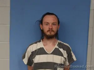 Mugshot of Brandon Lee Tenney booked in Newton County, Arkansas on July 8, 2026