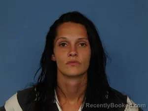 Mugshot of Bailey Michelle Henderson booked in Newton County, Arkansas on August 19, 2026