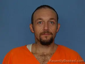Mugshot of David Shawn Dillon booked in Newton County, Arkansas on August 28, 2026