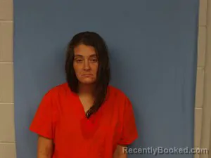 Mugshot of Morgan Denise Briley booked in Newton County, Arkansas on September 8, 2026