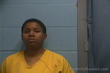 Mugshot of AYANA C DISHROOM booked in Ouachita County, Arkansas on April 18, 2026