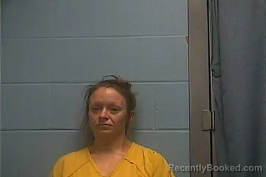 Mugshot of Jamie T Furman booked in Ouachita County, Arkansas on October 25, 2026