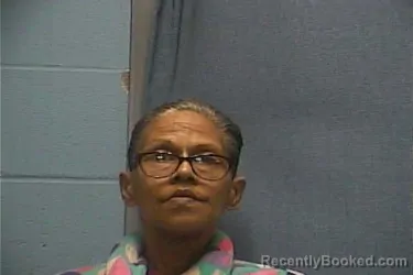 Mugshot of SARAH N JOE