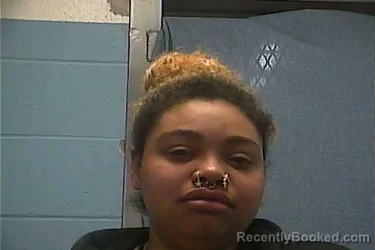 Mugshot of HERMIONE N SUMMERS booked in Ouachita County, Arkansas on April 1, 2026