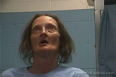 Mugshot of JENNIFER L STEVENS