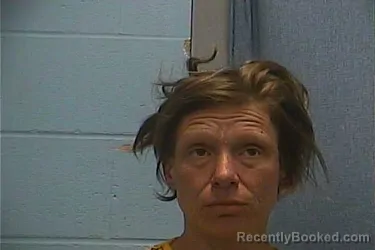 Mugshot of STACY L THIBAULT booked in Ouachita County, Arkansas on March 19, 2026