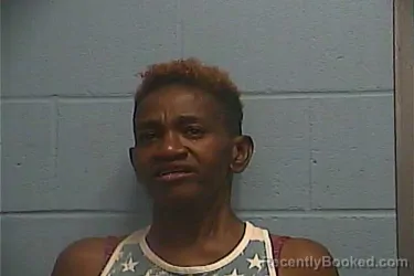 Mugshot of Candice N Walter booked in Ouachita County, Arkansas on September 4, 2026