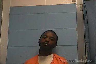 Mugshot of MICHAEL L JR WILLIAMS