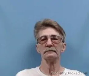 Mugshot of STEVE LEE Davidson