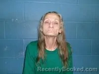 Mugshot of TINA N NIX