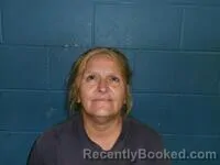 Mugshot of LEONA J WILLCOCKSON booked in Poinsett County, Arkansas on June 3, 2026